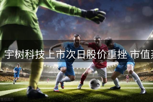宇树科技上市次日股价重挫 市值蒸发逾15%